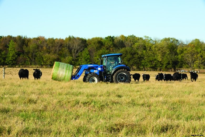 New Holland T5.130 tractor carrying a hay bale through a field of cattle